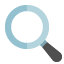 Icon Zoom